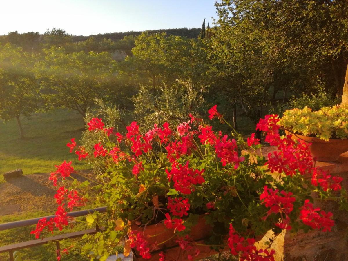 Agriturismo Sommassa غريفي ان شنتي المظهر الخارجي الصورة